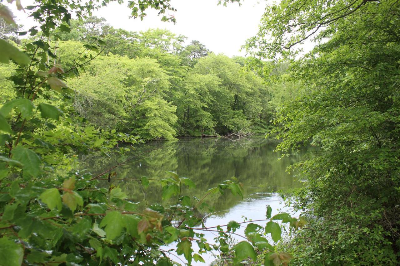 Herring Run Bourne Exteriör bild