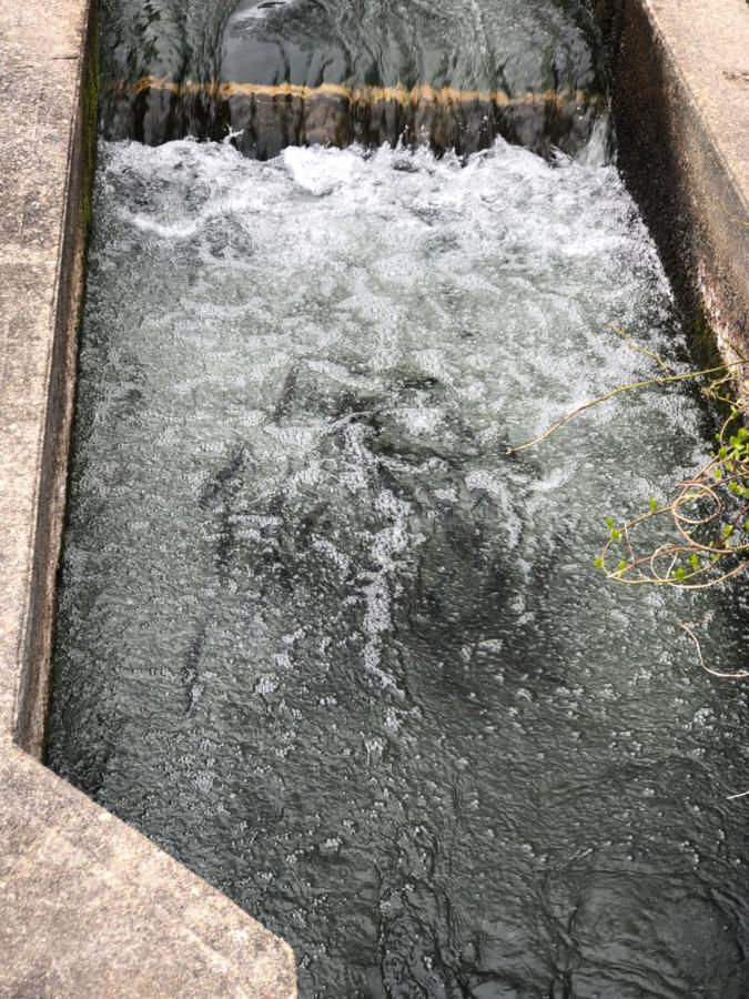 Herring Run Bourne Exteriör bild